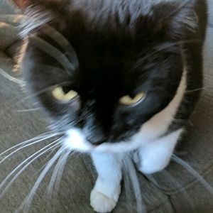 Meet your Posher, Trudy